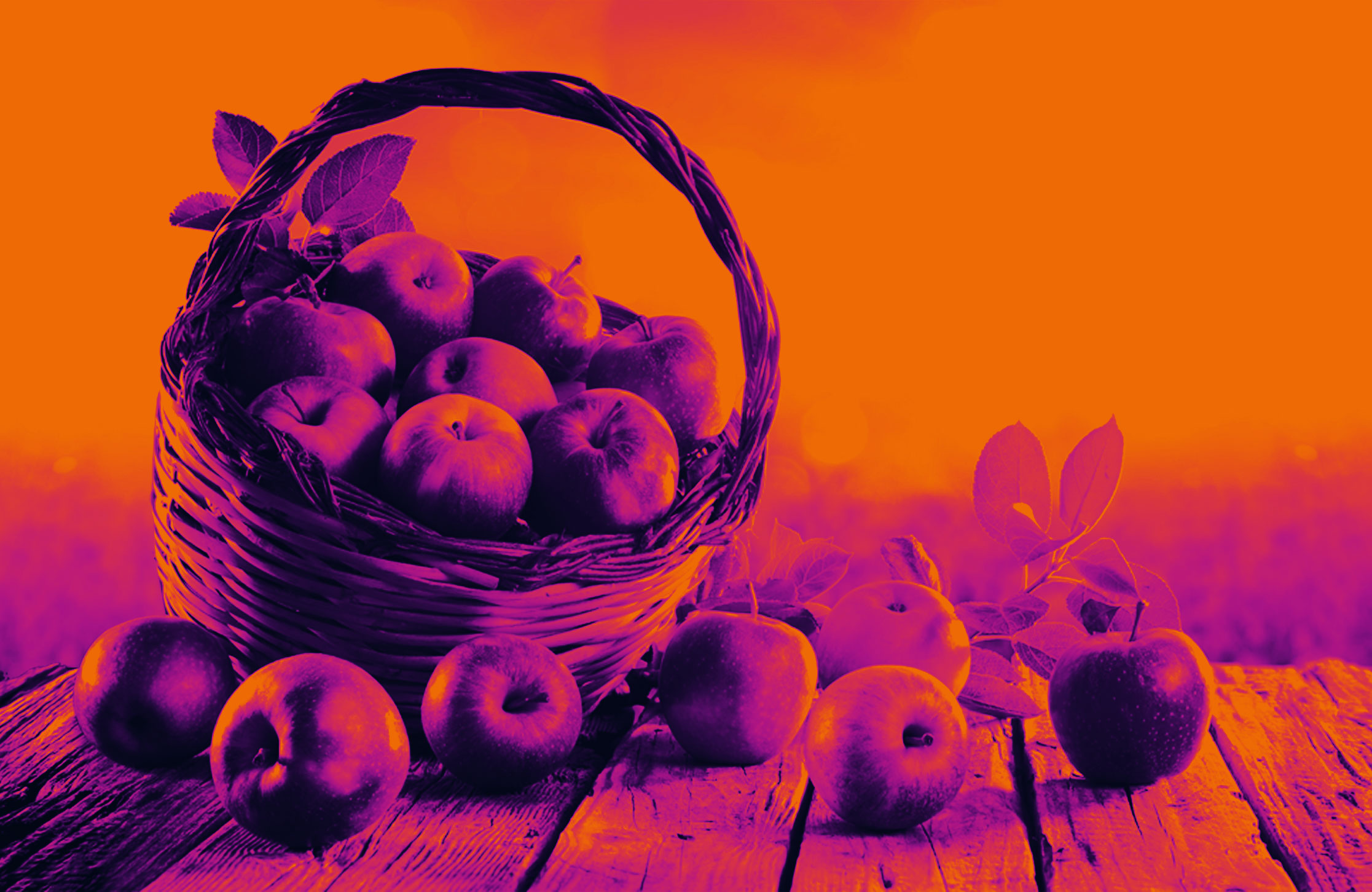 header-chisiamo_agenzia_comunicazione